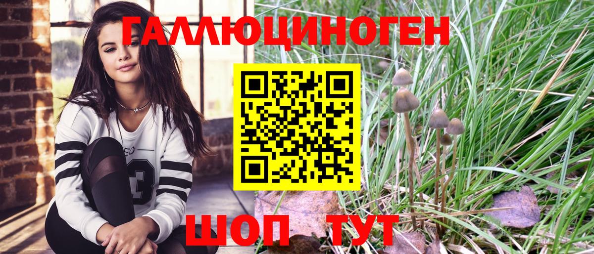 Псилоцибиновые грибы Psilocybe Магнитогорск