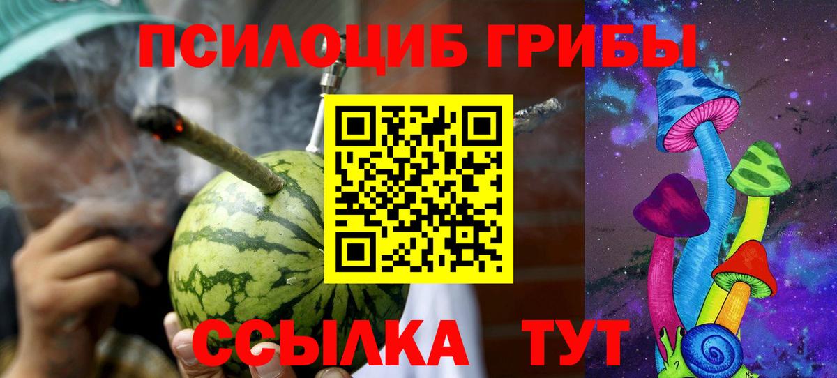 Магнитогорск  Псилоцибиновые грибы прущие грибы  Вход с VPN 